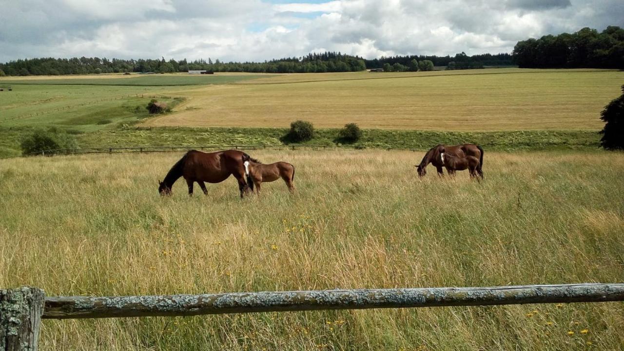 Schoene Aussicht Vöhl Kültér fotó